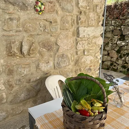 La Corte Di Montagna Apartamento *